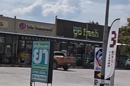 Lotus's go fresh