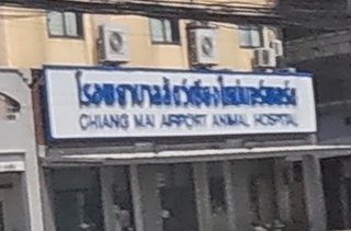 CHIANG MAI AIRPORT ANIMAL HOSPITAL