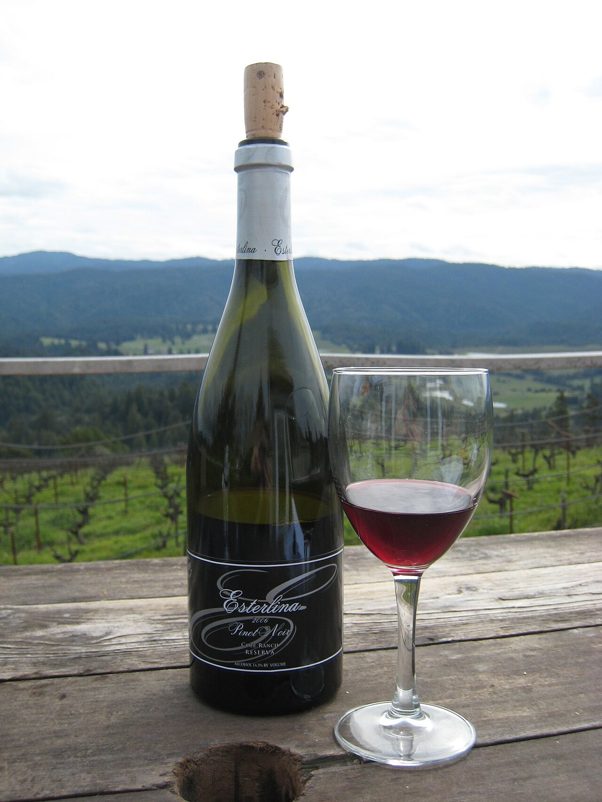 From Esterlina Tasting Room in Mendocino County California.