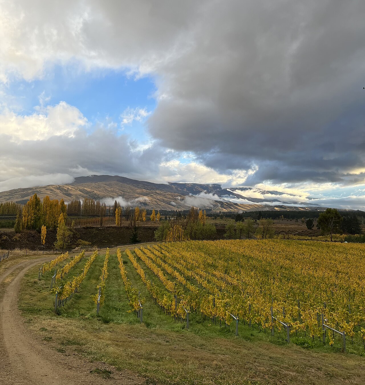 Bannockburn, Central Otago, South Island, NZ