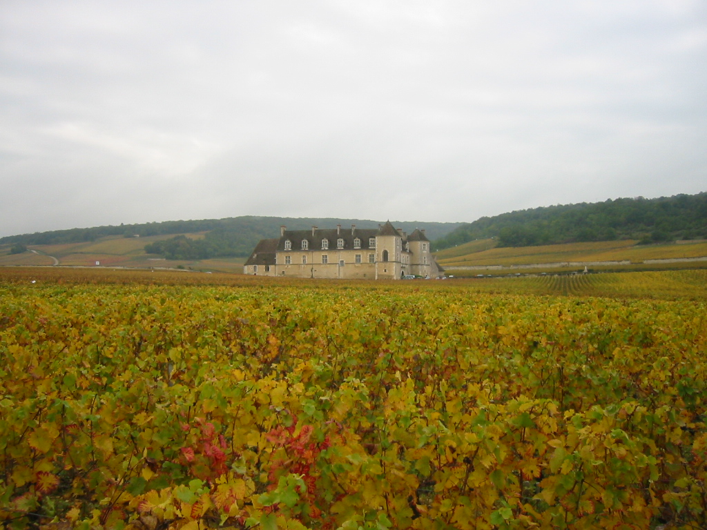 Clos Vougeot