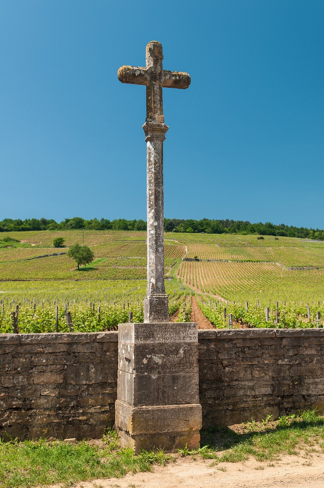 Domaine de la Romanée-Conti