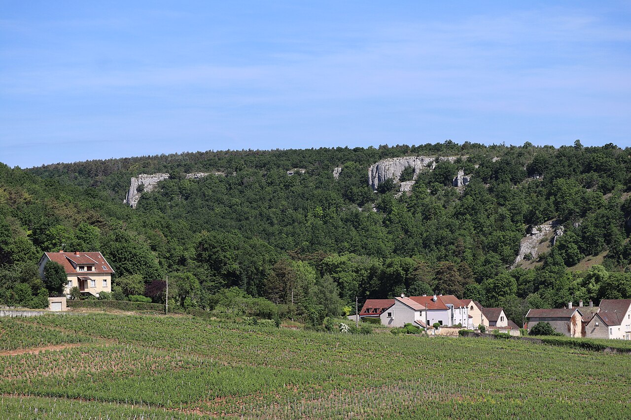 Village et vignes de Chambolle-Musigny, Côte-d'Or.