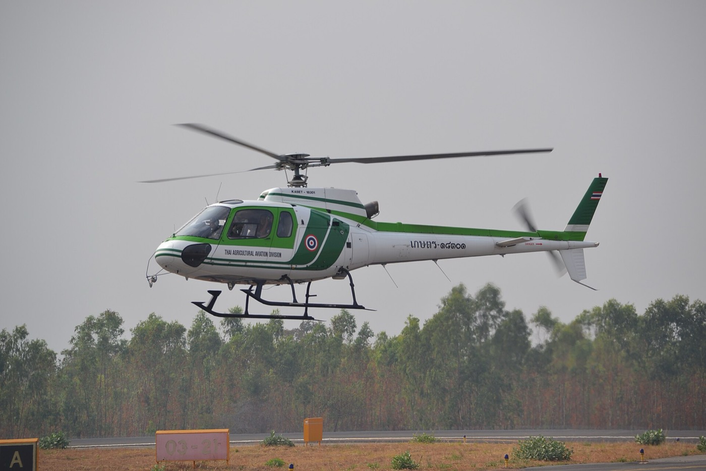 A white and green agricultural aviation helicopter lifting off