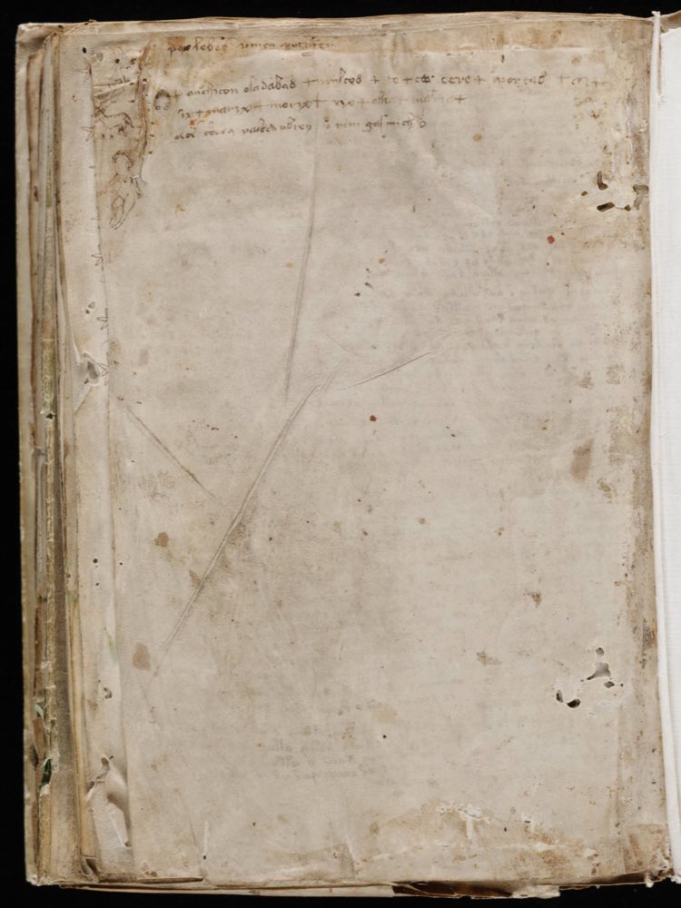 f116v, the last page: a few lines mixing Latin-looking words, German and Voynich letters, the most argued-over text in the book