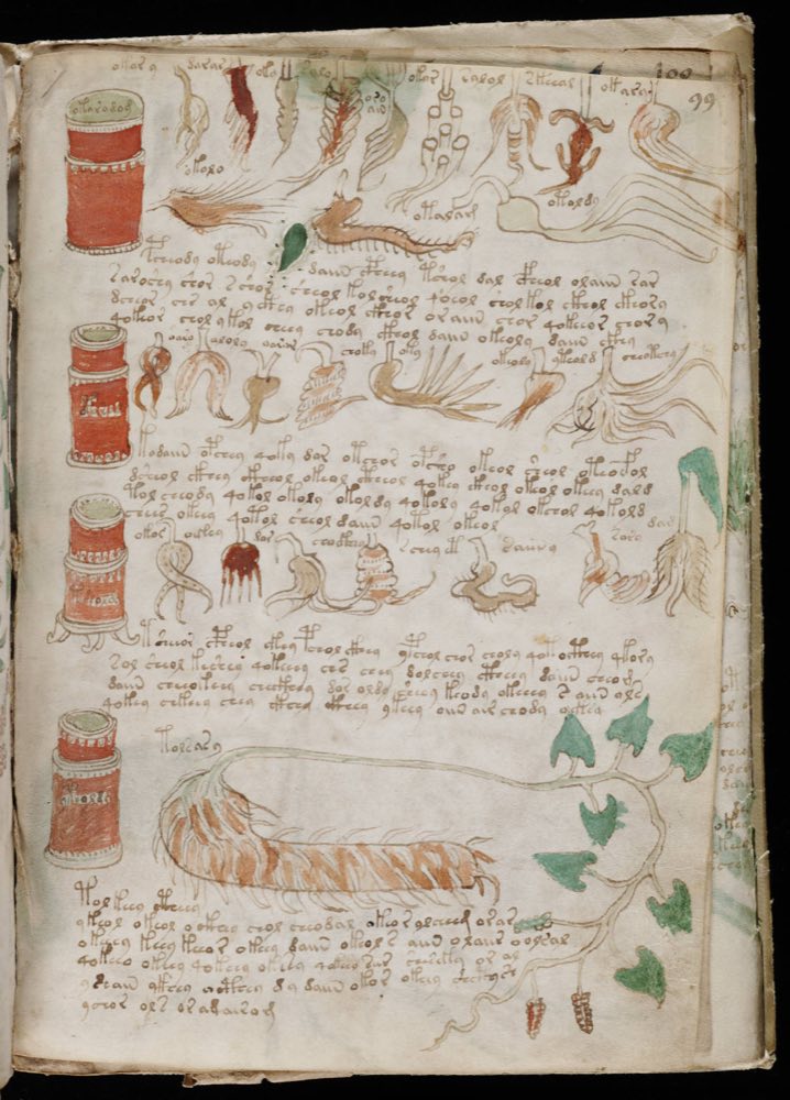 f99r: jars, roots and leaves with labels